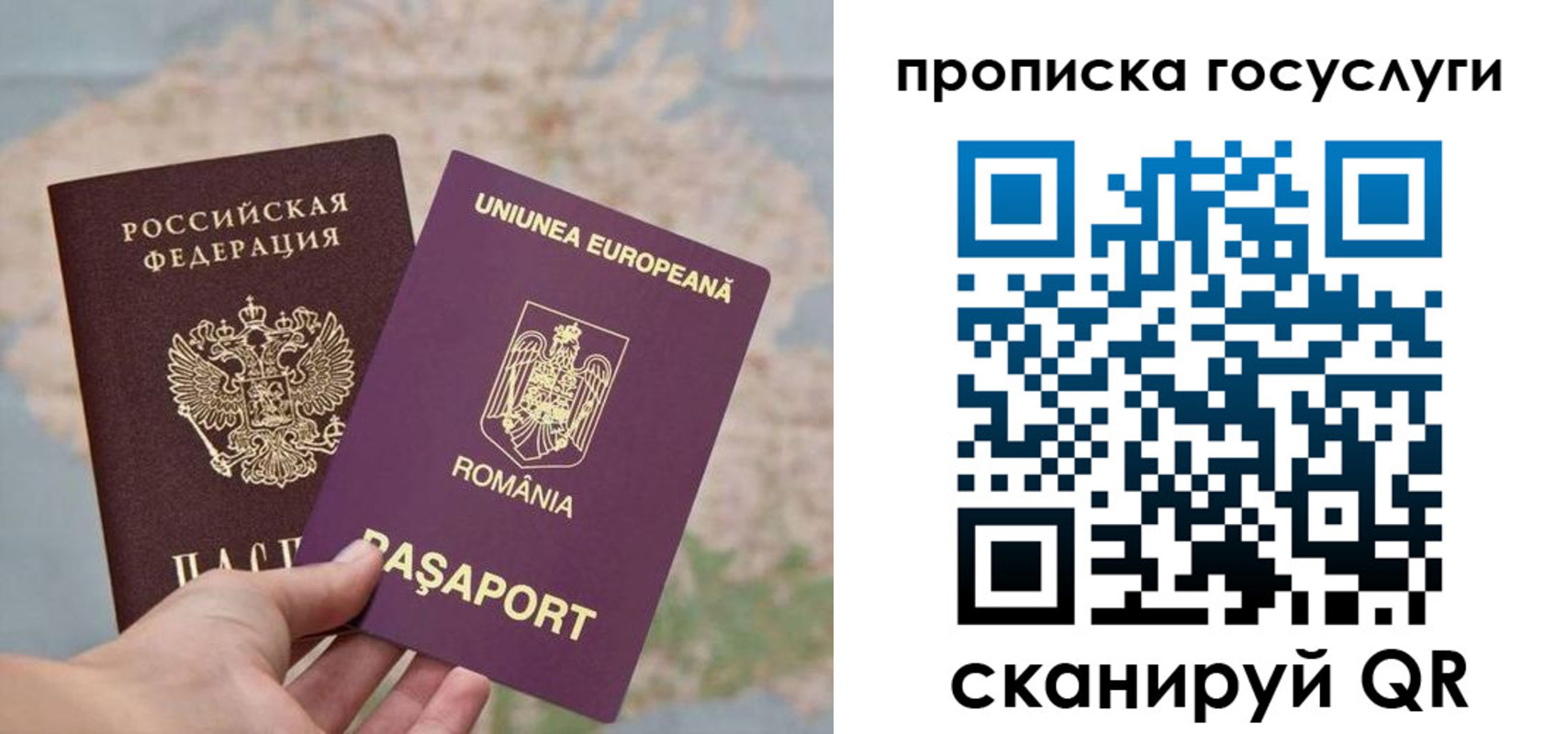 прописка паспорт в Шарье